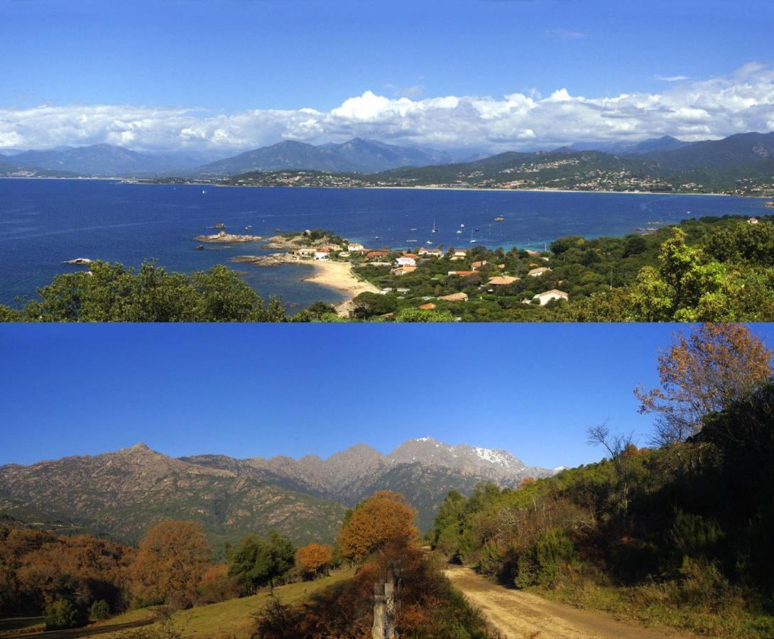 95M2 Au Calme A 25Mn Ajaccio, Plages, Linge Inclus Parking Ok Ucciani 外观 照片