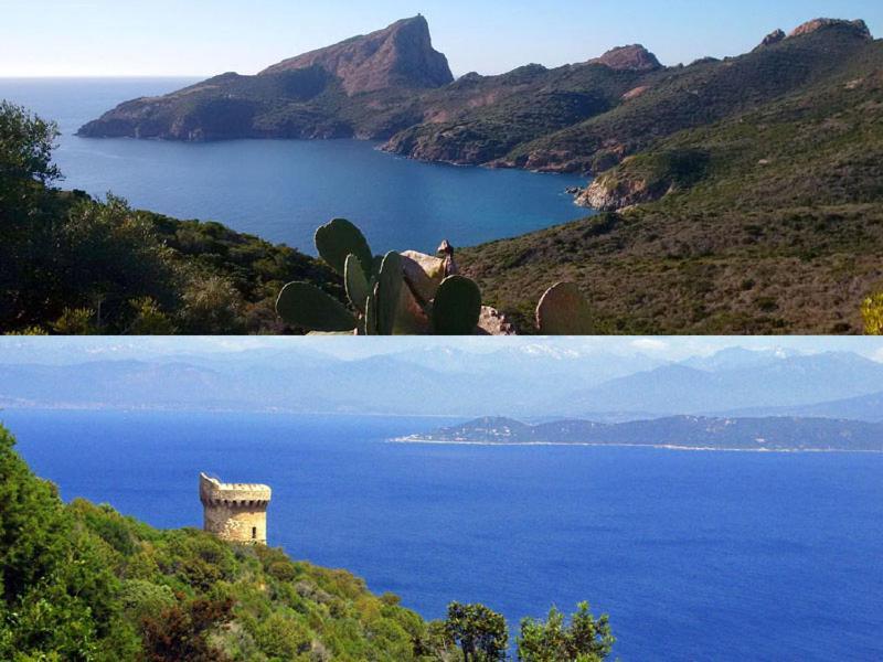 95M2 Au Calme A 25Mn Ajaccio, Plages, Linge Inclus Parking Ok Ucciani 外观 照片